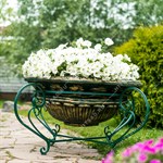 в античном виде в античном виде