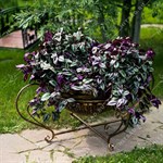 вазон для загородного дома вазон для загородного дома