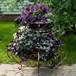 вазон для веранды вазон для веранды