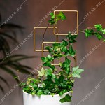 декоративная шпалера