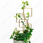 для комнатных растений