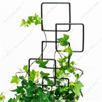 для роста цветов для роста цветов