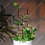 опора для комнатных растений опора для комнатных растений