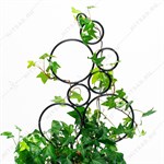 для роста для роста