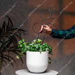 опора для комнатных растений опора для комнатных растений