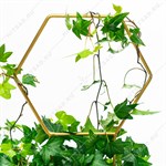 опора для комнатных растений опора для комнатных растений