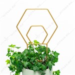 опора для роста цветов опора для роста цветов