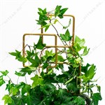 опора для комнатных растений опора для комнатных растений