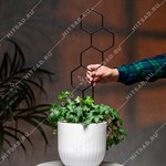 для комнатных растений для комнатных растений