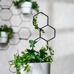 опора для комнатных растений опора для комнатных растений