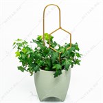 опора для комнатных растений опора для комнатных растений