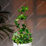 декоративная шпалера декоративная шпалера