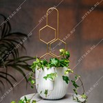 шпалера для комнатных растений шпалера для комнатных растений