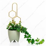 красивая шпалера как украшение красивая шпалера как украшение