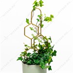 купить шпалеру 57-938 купить шпалеру 57-938