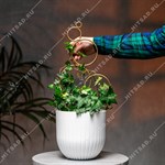 опора для комнатных растений