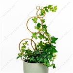 шпалера для роста растений