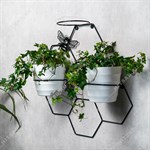 на три кашпо на три кашпо