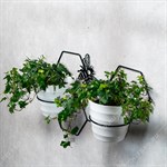 на 2 кашпо на 2 кашпо