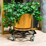 на колёсиках