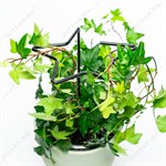 опора для комнатных растений