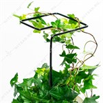 опора для комнатных растений