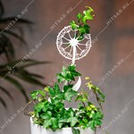 для комнатных растений