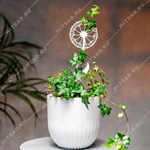 опора для комнатных растений