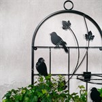 для двух растений