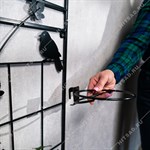 для растений