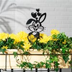 влюблённый заяц