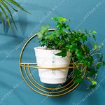 настенная цветочница