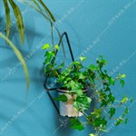 настенная цветочница