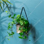 оригинальная настенная цветочница