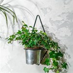 на одно кашпо