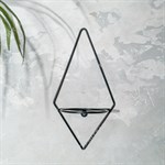 для одного растения