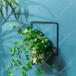 для одного растения