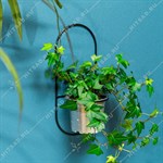 для кашпо диаметром 11 см