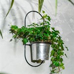 настенная цветочница