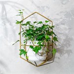 подставка для растений