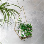 подставка для растений настенная