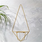 для одного растения