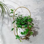 подставка для растений