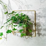 настенная подставка для растений