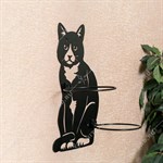 для растений