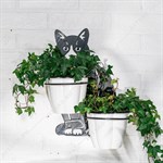 для комнатных растений