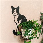 для одного растения