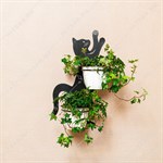 для двух растений