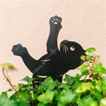 для одного растения