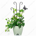 для комнатных растений